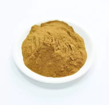 Сухой экстракт очанки (трава) (лат. Euphrasia officinalis)